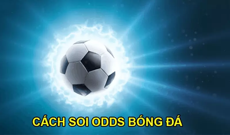 Cách soi odds cực hiệu quả từ cao thủ